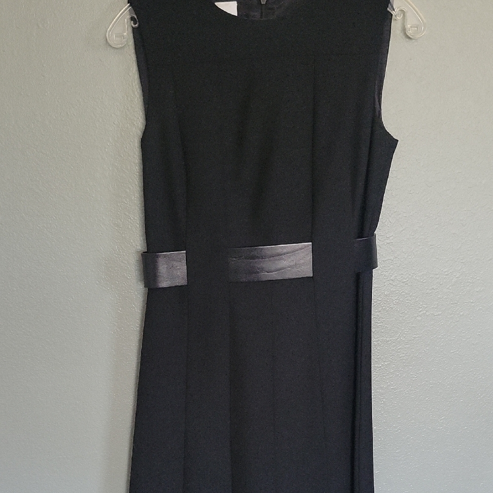 Elegant Black Sleeveless Dress